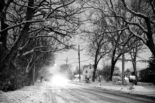 A snowy street scene at night, with bare trees lining the road and a car's headlights illuminating the path ahead.