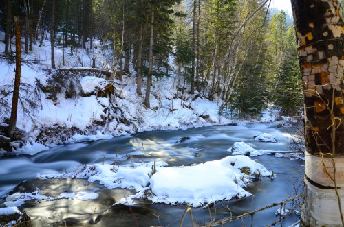 A serene winter scene of a flowing river surrounded by snow-covered trees and a snowy landscape.