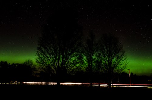A dark night sky filled with stars, featuring a green aurora and silhouetted trees in the foreground.