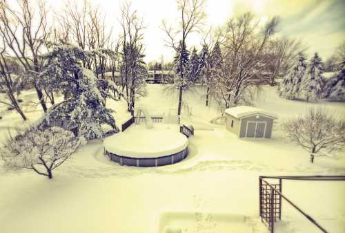 A snowy landscape featuring a circular pool, trees, and a shed, all covered in a thick layer of snow.