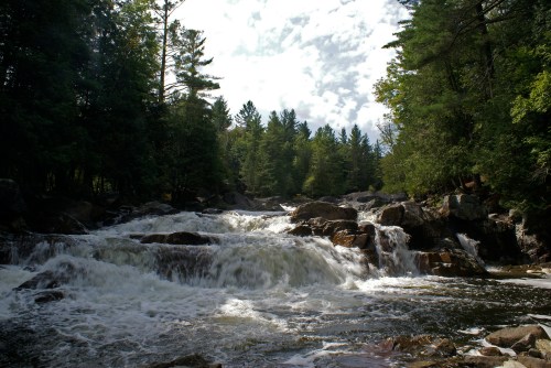 A rushing river flows over rocks, surrounded by lush green trees and a cloudy sky.