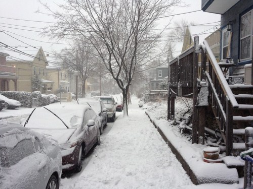 A snowy street scene with parked cars and a tree, surrounded by houses, under overcast skies.