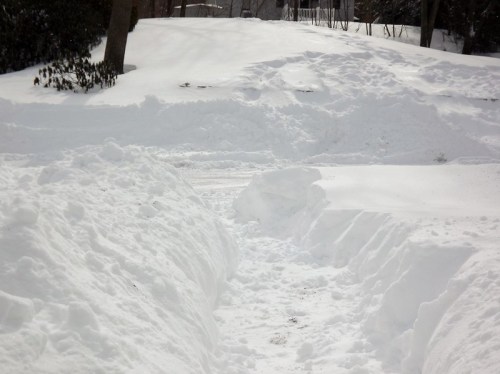 A snowy landscape with deep snow drifts and a narrow path cleared through the white snow.
