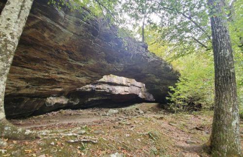 A natural rock formation with an arch, surrounded by trees and greenery in a forested area.