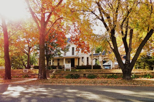 A charming house surrounded by vibrant autumn trees, with sunlight filtering through the leaves.
