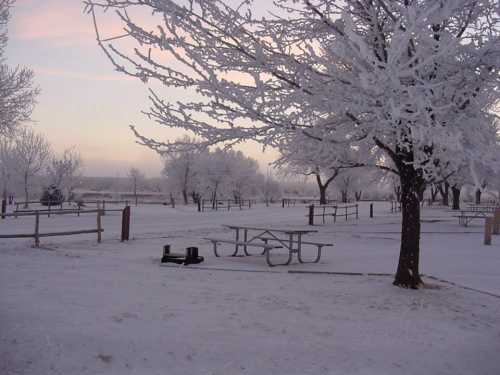 A snowy park scene with frosted trees, picnic tables, and a serene winter landscape under a pastel sky.