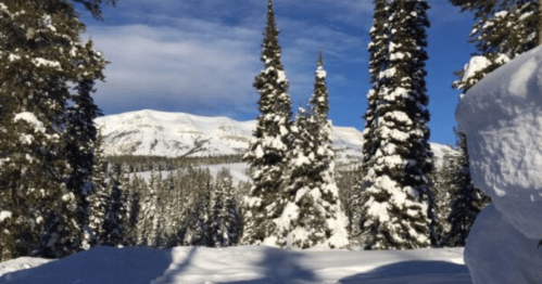 Snow-covered trees frame a scenic view of mountains under a clear blue sky.