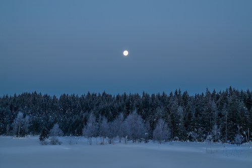 A serene winter landscape with a full moon above a snowy field and frosted trees, under a twilight sky.