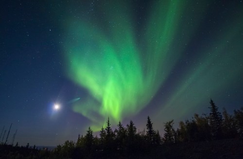 A vibrant green aurora borealis dances in the night sky, with stars and a crescent moon visible above silhouetted trees.