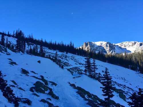 A snowy mountain landscape under a clear blue sky, with evergreen trees and rocky peaks in the background.