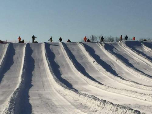 A snowy hill with multiple sledders enjoying a winter day, creating tracks in the fresh snow under a clear blue sky.