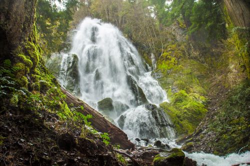 A cascading waterfall surrounded by lush greenery and moss-covered rocks in a serene forest setting.