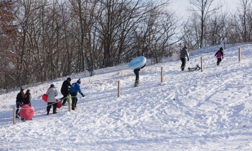 People walking up a snowy hill, carrying sleds and tubes, with trees in the background.