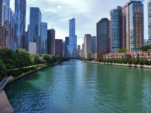 A view of a city skyline with tall buildings alongside a green river on a sunny day.