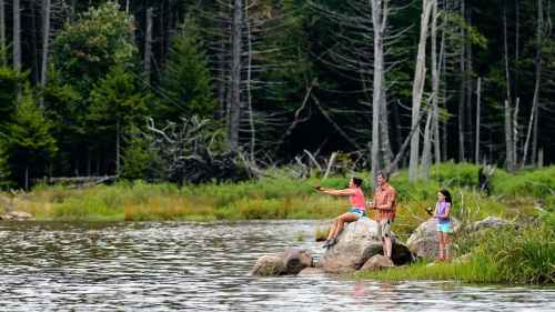 A man and two children fish from a rocky shore by a calm lake, surrounded by trees and greenery.