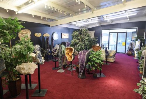 A spacious gallery filled with various large crystals and geodes, surrounded by plants and a red carpet.