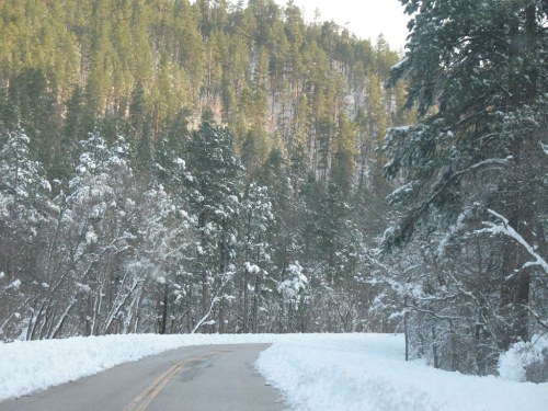 A snowy road winds through a forest of tall, green trees, with snow-covered ground and a serene winter landscape.