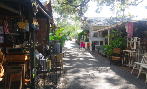 A charming outdoor market path lined with various vintage items and greenery on either side.