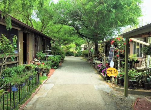 A charming garden path lined with plants and flowers, leading to open shops under lush green trees.