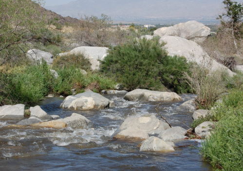 A serene stream flows over rocks, surrounded by greenery and hills in the background under a clear blue sky.