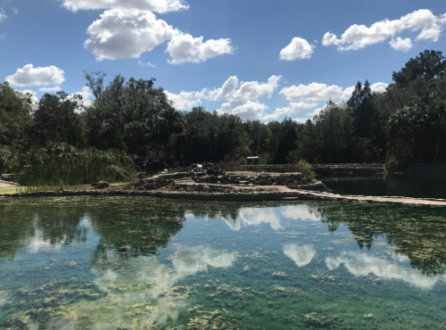 A serene landscape featuring a clear blue pond reflecting fluffy clouds and lush greenery under a bright sky.