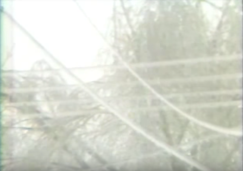 A foggy scene with blurred trees and power lines in the background, creating a misty atmosphere.