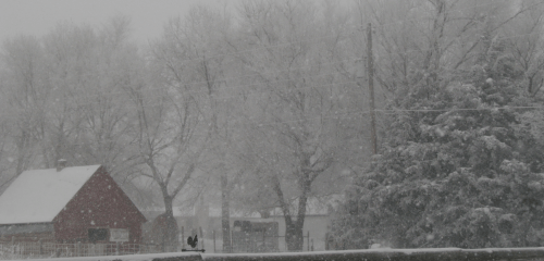 A snowy landscape featuring a red barn, frosted trees, and falling snowflakes creating a winter scene.