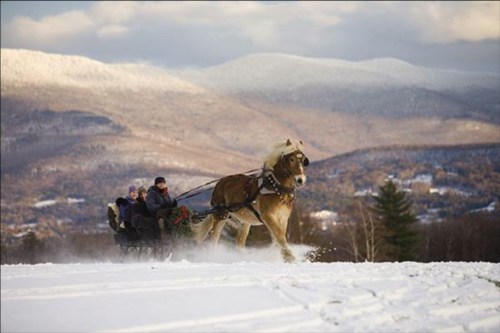 A horse pulls a sled with passengers through a snowy landscape, with mountains in the background.