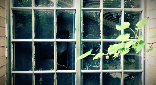 A close-up of a window with shattered glass panes and a green vine partially obscuring the view.