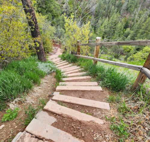A winding stone staircase surrounded by greenery and trees, leading down a hillside.