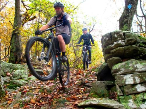 Two mountain bikers navigate a rocky trail surrounded by autumn foliage. One is jumping over a rock.