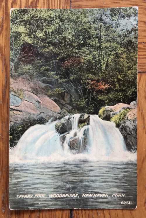 A vintage postcard depicting a serene waterfall surrounded by lush greenery in Woodbridge, New Haven, Connecticut.