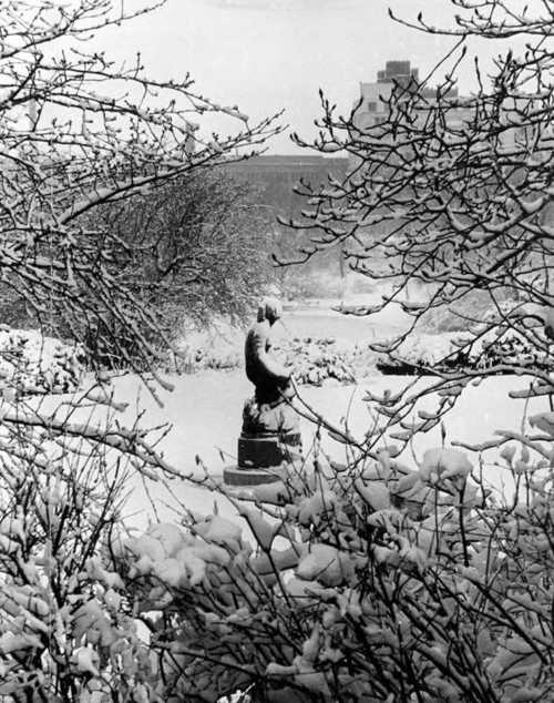 A snow-covered statue surrounded by trees and a winter landscape, with buildings faintly visible in the background.