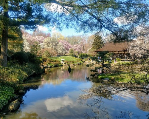 A serene garden scene with a pond, blooming trees, and a traditional building under a clear blue sky.