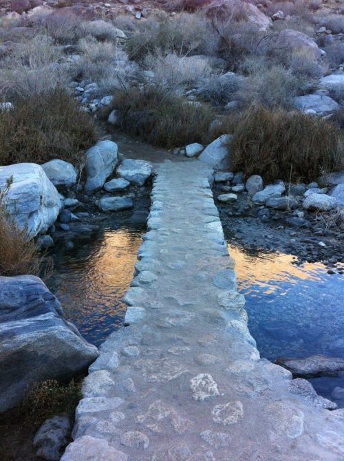A stone pathway crosses a calm stream, surrounded by rocky terrain and sparse vegetation.