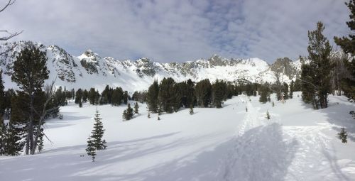 A snowy landscape with tall mountains in the background and scattered evergreen trees under a cloudy sky.
