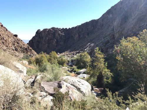 A rocky canyon with steep walls, scattered boulders, and patches of greenery under a clear blue sky.
