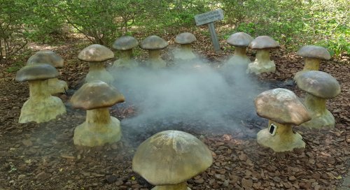 A circle of large mushroom sculptures surrounded by mist in a wooded area, with a sign in the background.