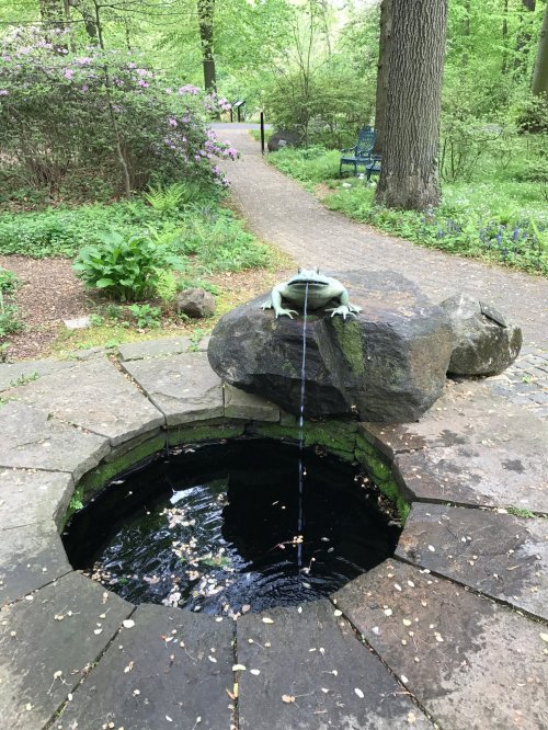 A stone frog fountain spouts water into a circular pond, surrounded by lush greenery and blooming flowers.