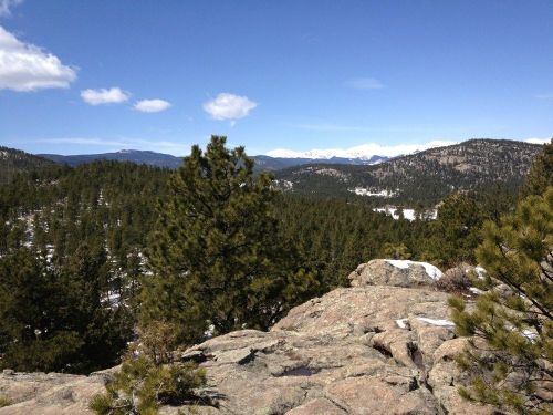 A scenic view of mountains and pine trees under a clear blue sky, with snow-capped peaks in the distance.