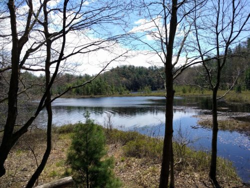 A serene lake surrounded by trees and greenery under a partly cloudy sky.