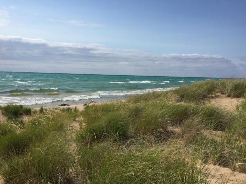 A serene beach scene with gentle waves, sandy shore, and lush green grass under a partly cloudy sky.