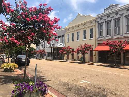 A charming street lined with flowering trees, colorful buildings, and a clear blue sky.