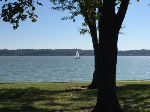 A sailboat glides across a calm lake, framed by trees under a clear blue sky.