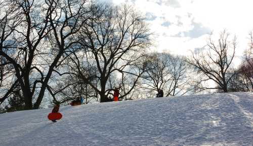 People sledding down a snowy hill, surrounded by bare trees and a cloudy sky.