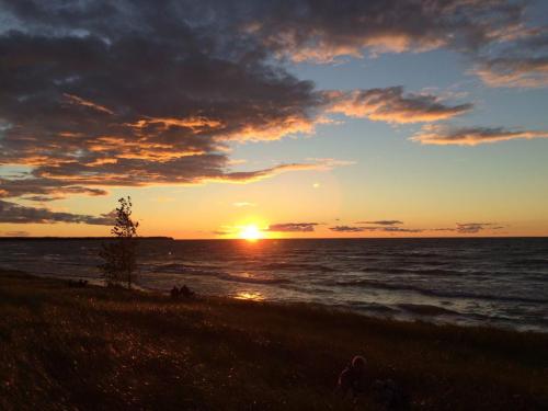 A serene sunset over the ocean, with vibrant clouds and gentle waves, framed by grassy shoreline.