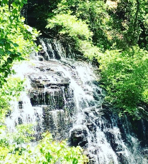 A cascading waterfall surrounded by lush green trees and foliage.
