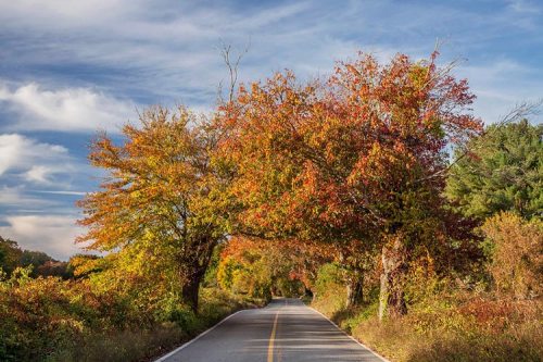 A scenic road lined with vibrant autumn trees under a blue sky with wispy clouds.