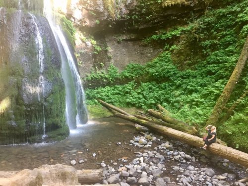 A person sits on a log by a serene waterfall surrounded by lush greenery and rocks.