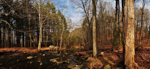 A serene forest scene with a stream, rocky banks, and trees in autumn colors under a partly cloudy sky.